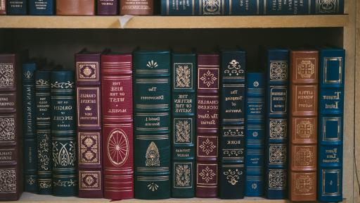 book shelf full of books at the 谢默伟大的书籍学校